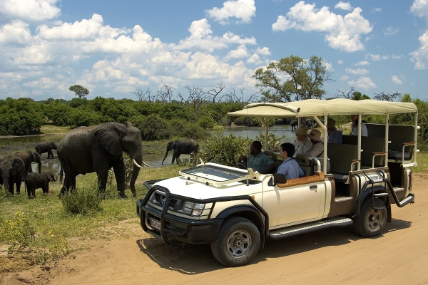 Safari Activities – Ndope Travel and Tours