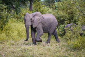 ismail abubakar 81pfsjzbut8 unsplash